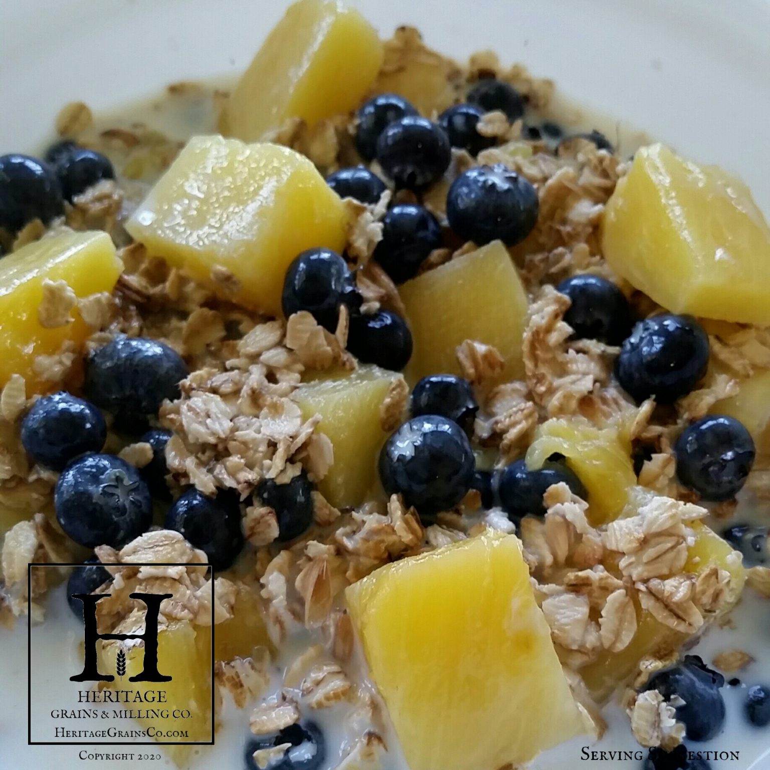 Pineapple Blueberry Oat Cereal